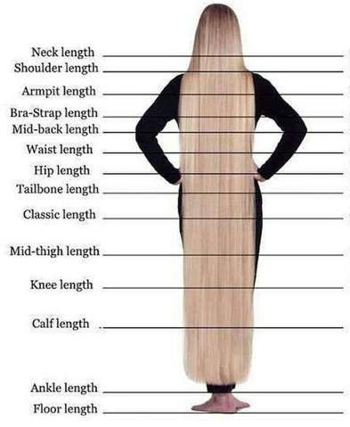 Hair Length Chart: Understanding A Guide to Hair Lengths - عربة وتسوق