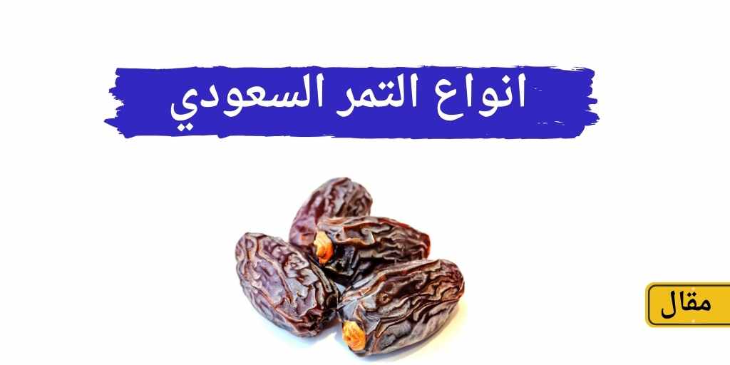 انواع التمر، انواع التمر السعودي