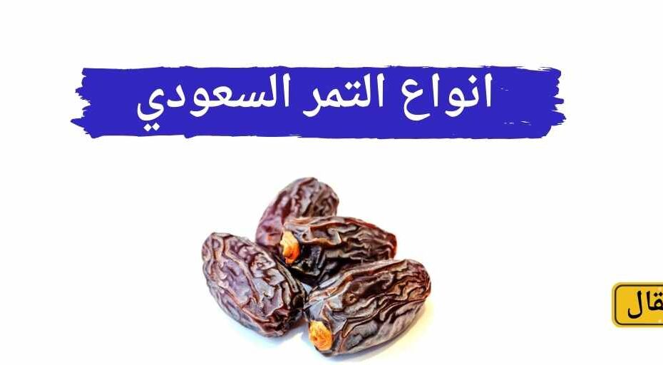 انواع التمر، انواع التمر السعودي